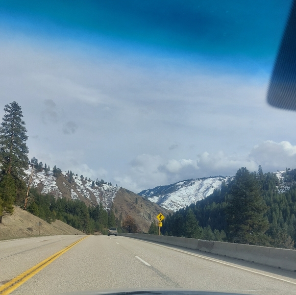 Meet your Posher, Katrina - Picture 5 of 8